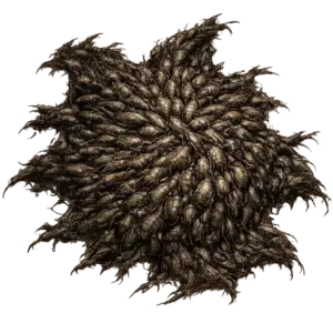 Xirathis
